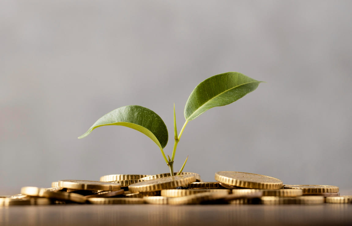 O que é Tesouro Direto?